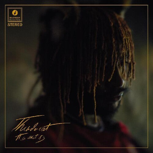 Thundercat - It Is What It Is CD (Softpak) [ vinyl ]