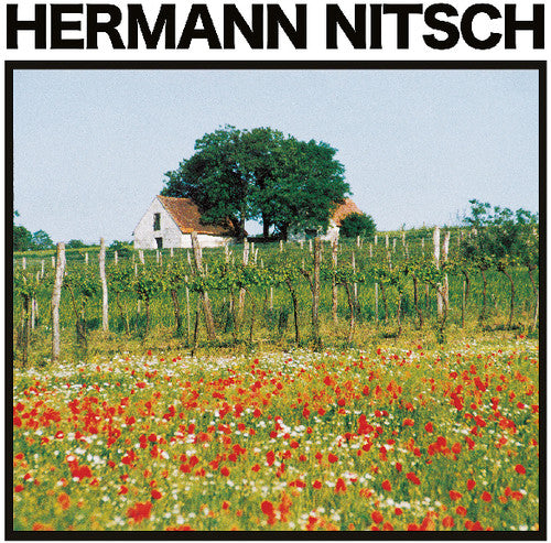 Nitsch, Hermann: Traubenfleisch (Vinyl LP) [ vinyl ]