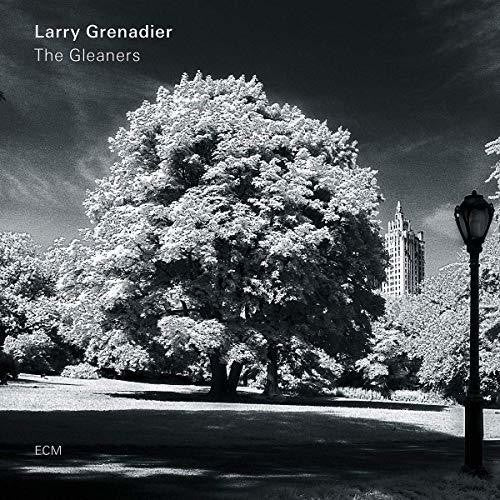 Grenadier, Larry: The Gleaners (Vinyl LP) [ vinyl ]