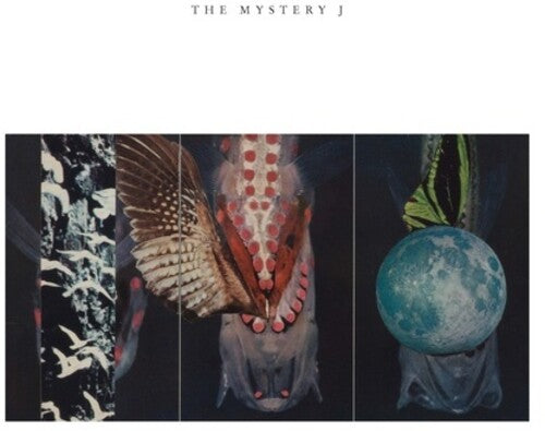 : The Mystery J (Vinyl LP) [ vinyl ]
