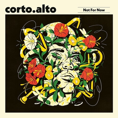 : Not For Now (12-Inch Single) [ vinyl ]