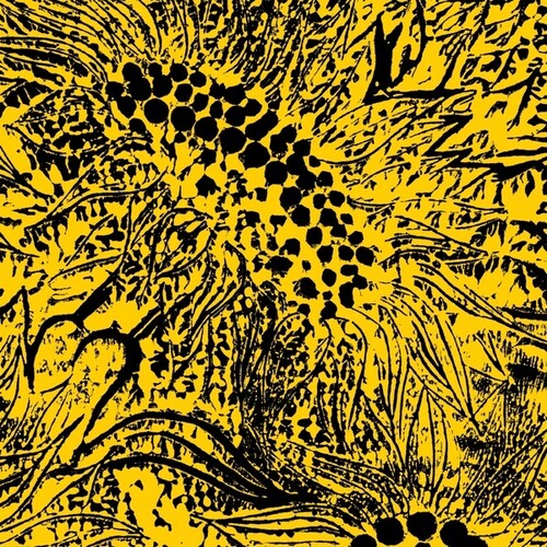 Whiting, Amanda: Little Sunflower (Vinyl LP) [ vinyl ]