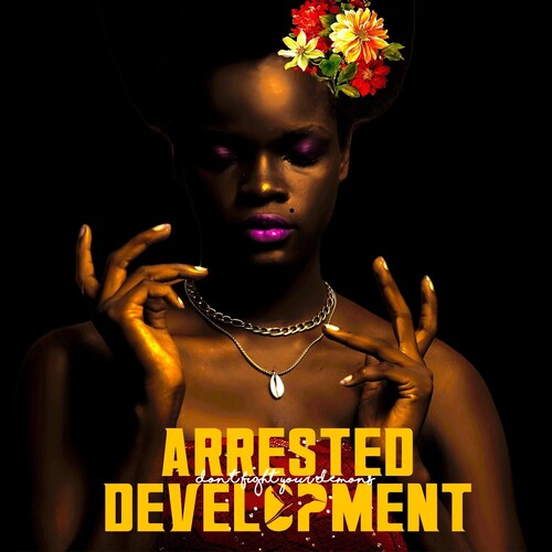 Arrested Development - Don't Fight Your Demons 2LP [ vinyl ]