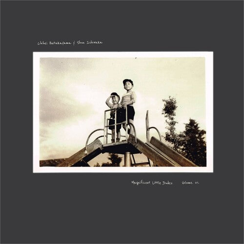 Hatakeyama, Chihei / Ishiwaka, Shun: Magnificent Little Dudes Vol. 1 (Vinyl LP) [ vinyl ]