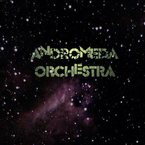 Andromeda Orchestra: Andromeda Orchestra (Vinyl LP) [ vinyl ]