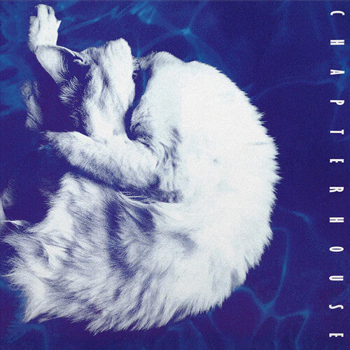 Chapterhouse - Whirlpool LP (Limited Edition, 180 Gram Vinyl, White & Black Marble Colored Vinyl) [ vinyl ]
