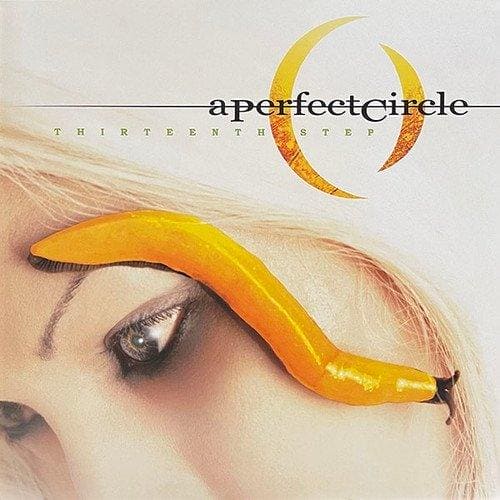 A PERFECT CIRCLE - Thirteenth Step Vinyl [ vinyl ]