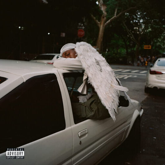 Blood Orange - Negro Swan - {Vinyl LP}