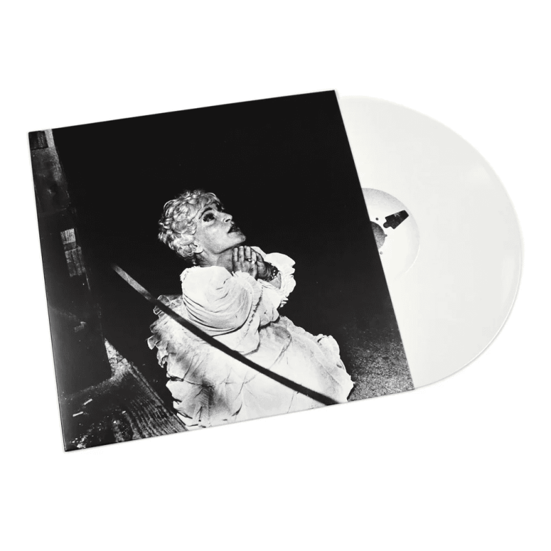 DEERHUNTER - Halcyon Digest Vinyl [ vinyl ]