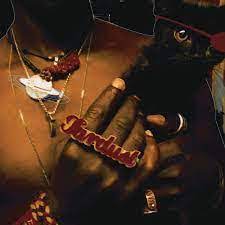 Saul Williams - The Inevitable Rise And Liberation Of Niggy Tardust 2LP (Cats Eye Vinyl) [ vinyl ]