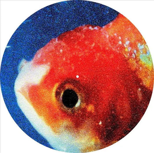 Vince Staples – Big Fish Theory 2LP (Picture Disc) [ vinyl ]
