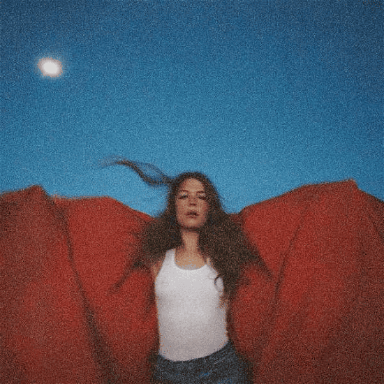 MAGGIE ROGERS - Heard It In A Past Life Vinyl [ vinyl ]