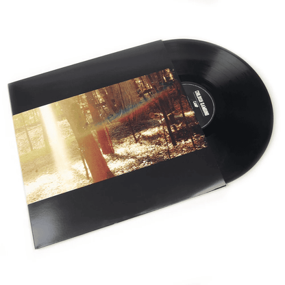 CHILDISH GAMBINO - Camp Vinyl [ vinyl ]