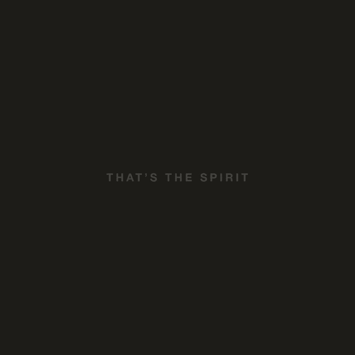 BRING ME THE HORIZON - That's The Spirit Vinyl [ vinyl ]