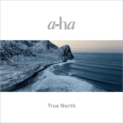 A-HA - True North Vinyl [ vinyl ]