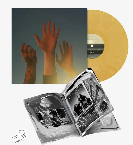 BOYGENIUS - The Record Vinyl [ vinyl ]