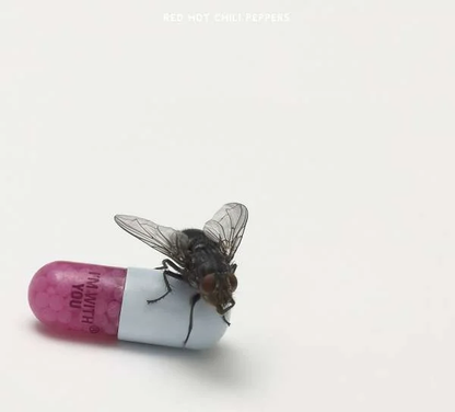 RED HOT CHILI PEPPERS - I'm With You Vinyl [ vinyl ]
