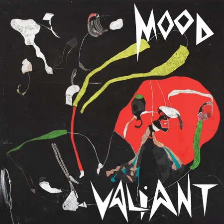 HIATUS KAIYOTE - Mood Valiant Vinyl [ vinyl ]