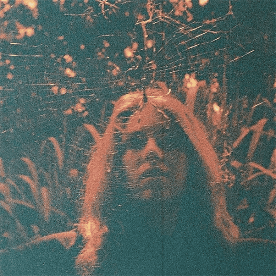 TURNOVER - Peripheral Vision Vinyl [ vinyl ]