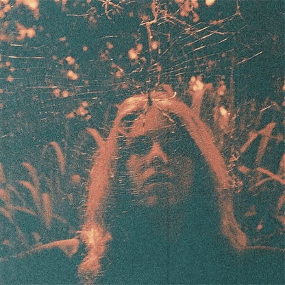 TURNOVER - Peripheral Vision Vinyl [ vinyl ]