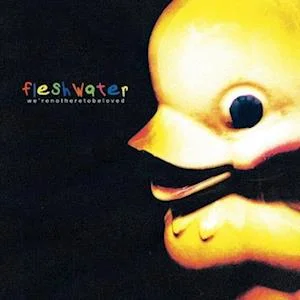 FLESHWATER - We're Not Here To Be Loved Vinyl [ vinyl ]