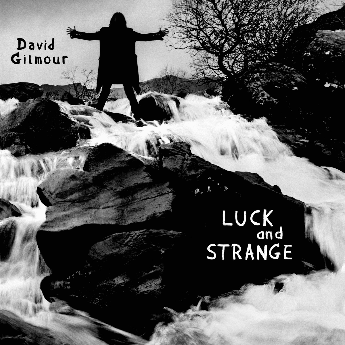 DAVID GILMOUR - Luck and Strange Vinyl [ vinyl ]