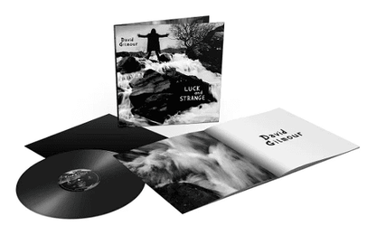 DAVID GILMOUR - Luck and Strange Vinyl [ vinyl ]