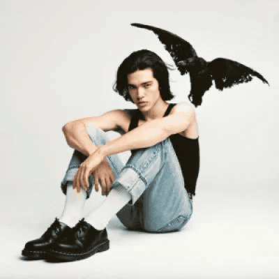CONAN GRAY - Kid Krow Vinyl [ vinyl ]