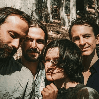 BIG THIEF - Two Hands Vinyl [ vinyl ]
