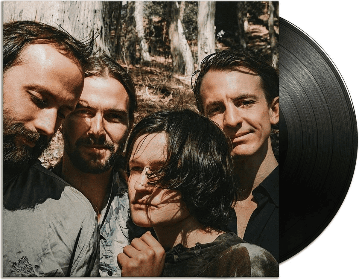 BIG THIEF - Two Hands Vinyl [ vinyl ]