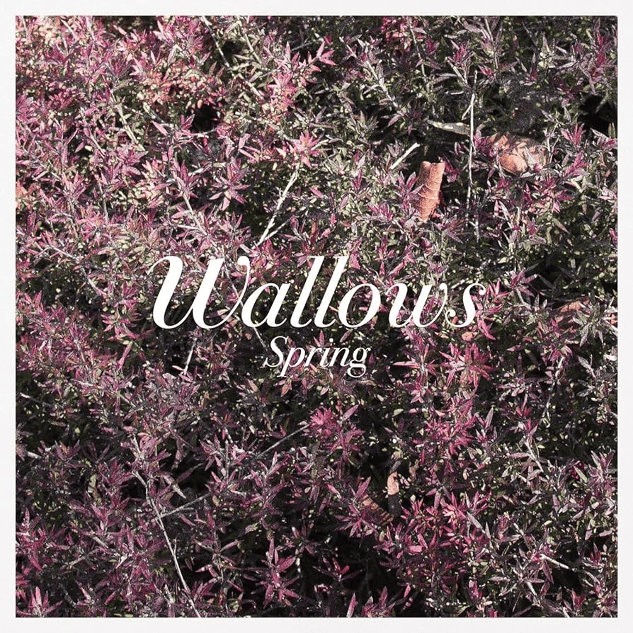 WALLOWS - Spring Vinyl [ vinyl ]