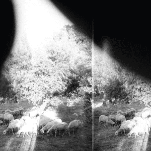 GODSPEED YOU! BLACK EMPEROR - Asunder, Sweet and Other Distress Vinyl [ vinyl ]