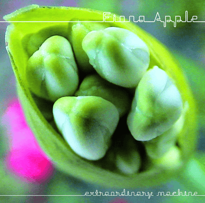 FIONA APPLE - Extraordinary Machine Vinyl [ vinyl ]