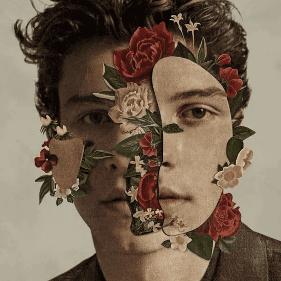 SHAWN MENDES - Shawn Mendes Vinyl [ vinyl ]