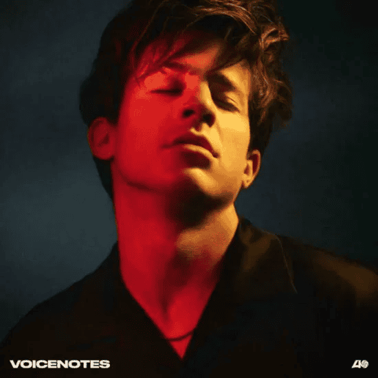 CHARLIE PUTH - Voicenotes Vinyl [ vinyl ]