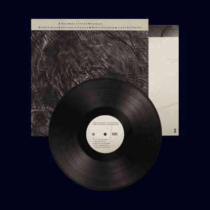 COCTEAU TWINS & HAROLD BUDD - The Moon and the Melodies Vinyl [ vinyl ]