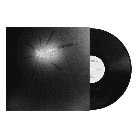 TOUCHE AMORE - Spiral in a Straight Line Vinyl [ vinyl ]