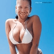 APHEX TWIN - Windowlicker Vinyl [ vinyl ]