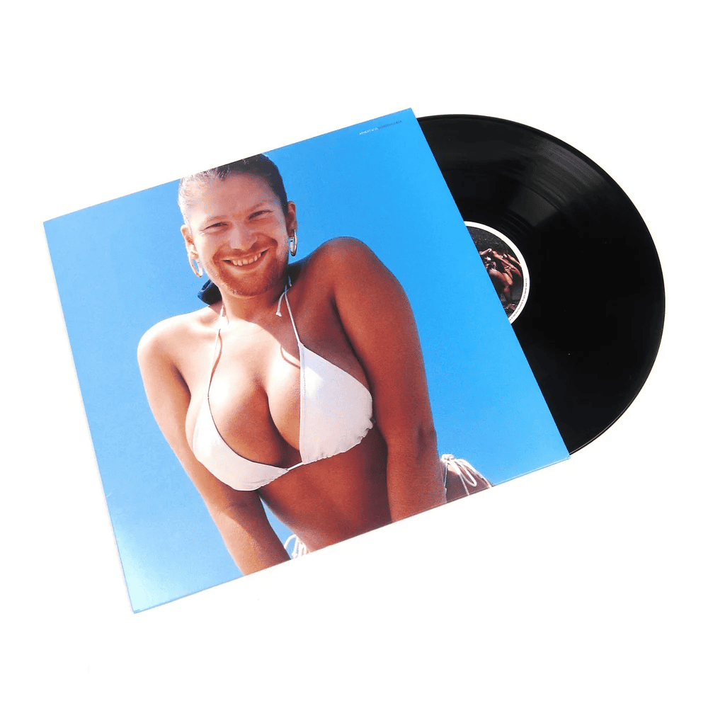 APHEX TWIN - Windowlicker Vinyl [ vinyl ]