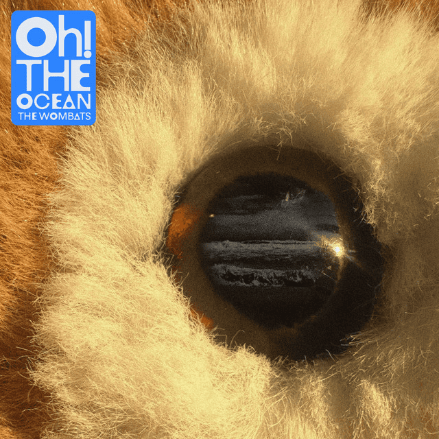 THE WOMBATS - Oh! The Ocean Vinyl [ vinyl ]