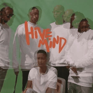 THE INTERNET - Hive Mind Vinyl [ vinyl ]