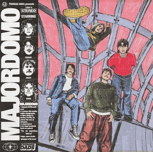 TEENAGE DADS - Majordomo Vinyl [ vinyl ]