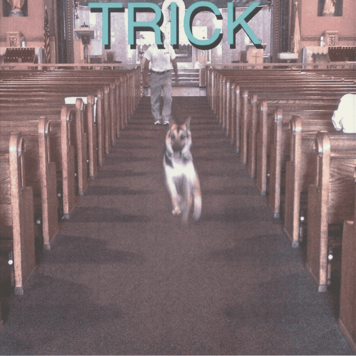 ALEX G - Trick Vinyl [ vinyl ]