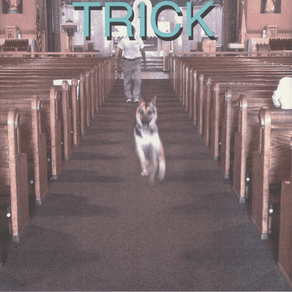 ALEX G - Trick Vinyl [ vinyl ]