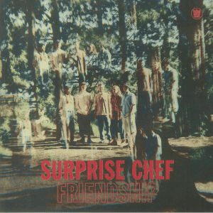 SURPRISE CHEF - Friendship Vinyl [ vinyl ]