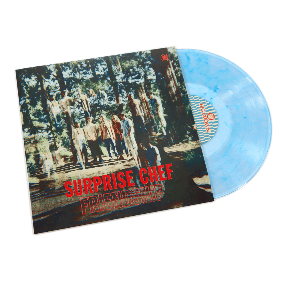 SURPRISE CHEF - Friendship Vinyl [ vinyl ]