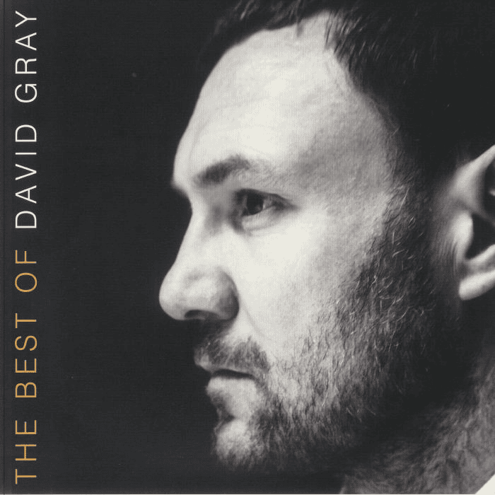 DAVID GRAY - The Best Of David Gray Vinyl [ vinyl ]