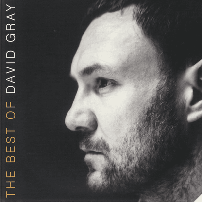 DAVID GRAY - The Best Of David Gray Vinyl [ vinyl ]