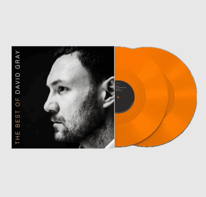 DAVID GRAY - The Best Of David Gray Vinyl [ vinyl ]
