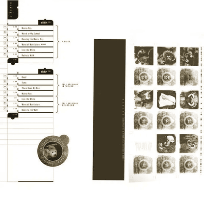 PIXIES - Doolittle 25 B Sides Peel Sessions & Demos (25th Anniversary) Vinyl [ vinyl ]